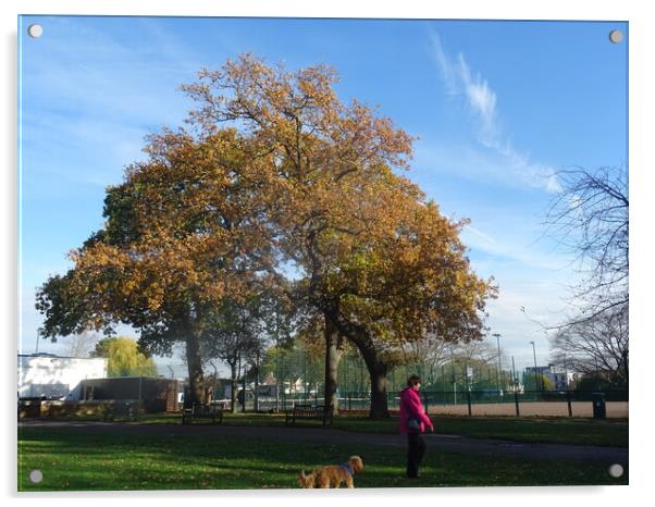Autumn in Chalkwell Park Acrylic by John Bridge