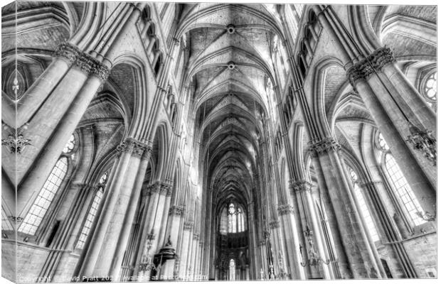Notre Dame Reims Cathedral  Canvas Print by David Pyatt