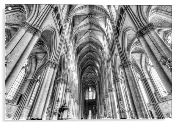 Notre Dame Reims Cathedral  Acrylic by David Pyatt