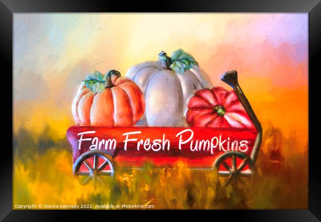 Farm Fresh Pumpkins Framed Print by Donna Kennedy