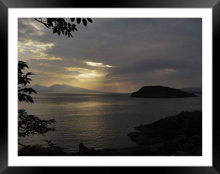oban goodnight Framed Mounted Print by Fiona Messenger