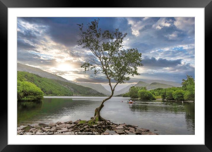 The beautiful lone tree Llanberis Wales Framed Mounted Print by Phil Longfoot