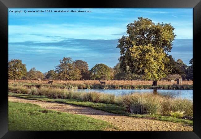 Warm days in November Framed Print by Kevin White