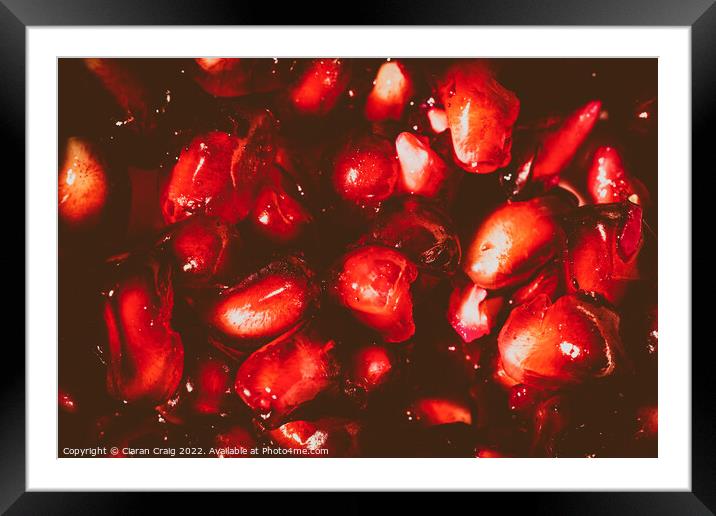 Stand Out from the Crowd  Framed Mounted Print by Ciaran Craig