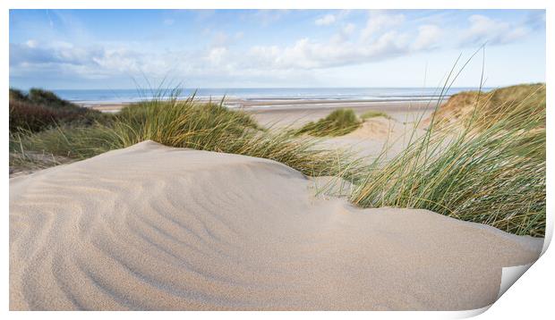 Formby sand dunes in black and white Print by Jason Wells