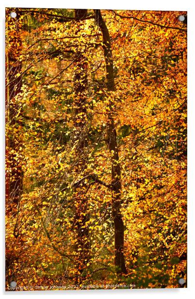 Autumn Glory  Acrylic by Simon Johnson