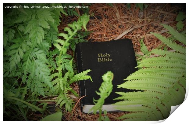 Discovering God's Word in Nature (2A) Print by Philip Lehman
