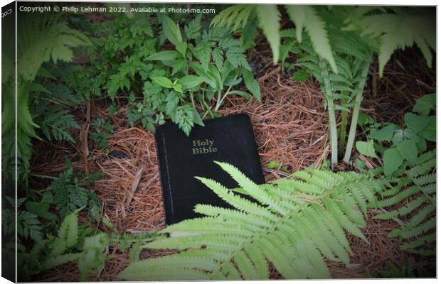Discovering God's Word in Nature (5A) Canvas Print by Philip Lehman