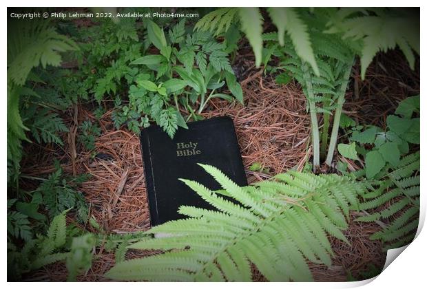 Discovering God's Word in Nature (5A) Print by Philip Lehman