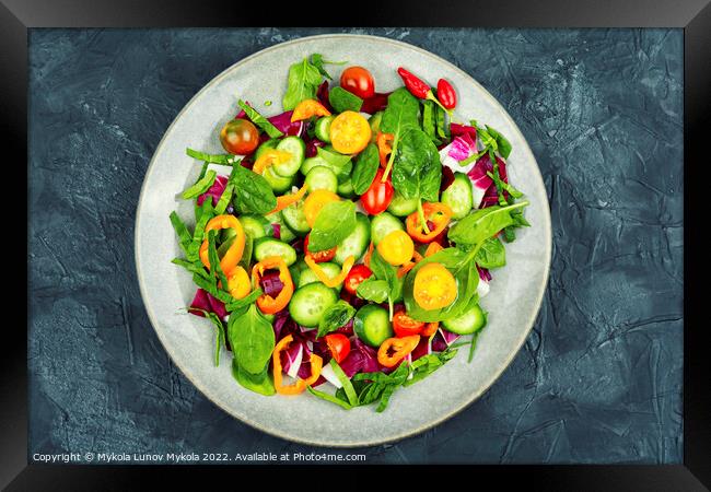 Bright, colorful spring vegetable salad Framed Print by Mykola Lunov Mykola
