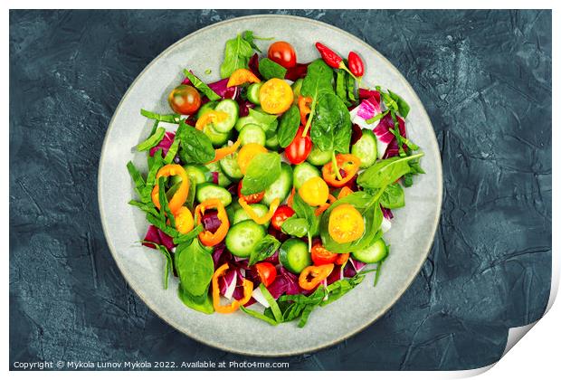 Bright, colorful spring vegetable salad Print by Mykola Lunov Mykola
