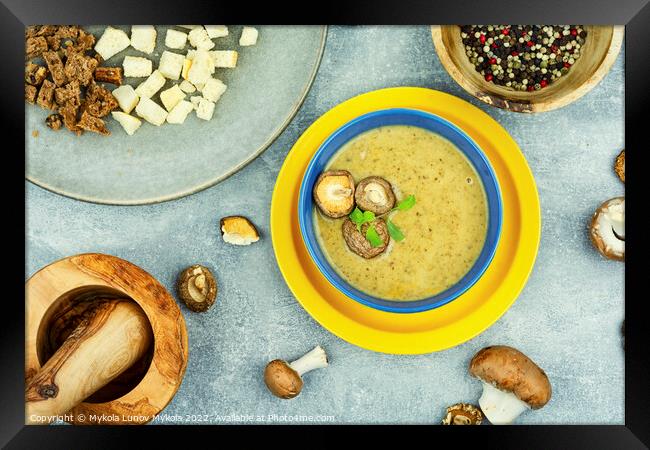 Bowl with mushroom soup Framed Print by Mykola Lunov Mykola
