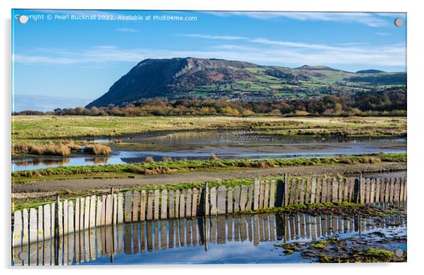Llanfairfechan Conwy Wales Coast Acrylic by Pearl Bucknall