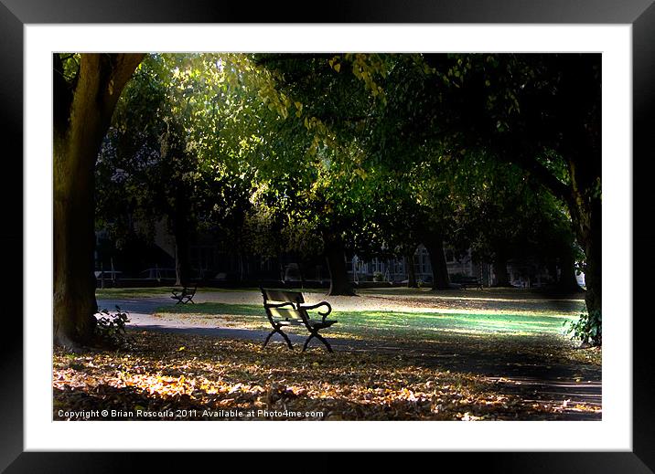 Lonley Park Bench Framed Mounted Print by Brian Roscorla