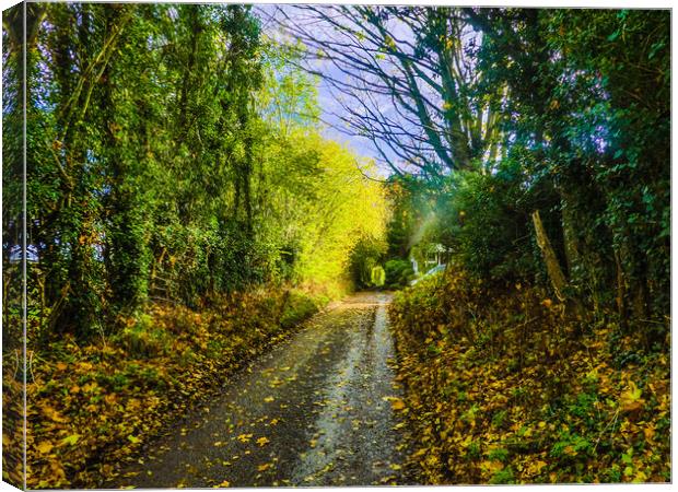 Tranquil Autumn Lane Canvas Print by Simon Hill