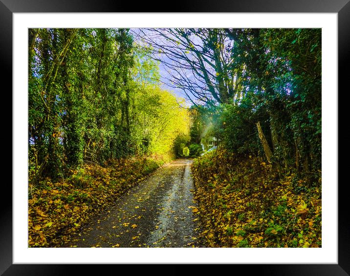 Tranquil Autumn Lane Framed Mounted Print by Simon Hill