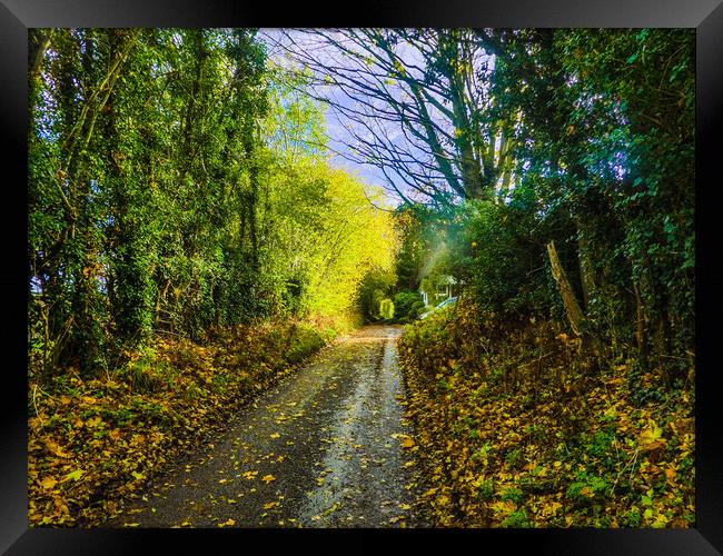 Tranquil Autumn Lane Framed Print by Simon Hill