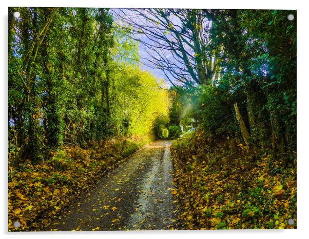 Tranquil Autumn Lane Acrylic by Simon Hill