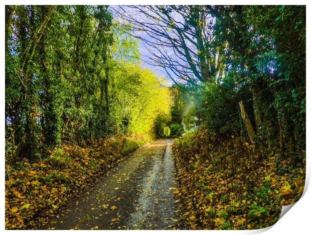 Tranquil Autumn Lane Print by Simon Hill