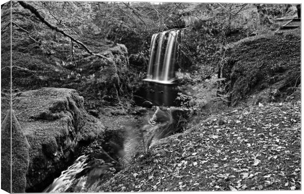 Dalcairney waterfall, East Ayrshire Canvas Print by Allan Durward Photography