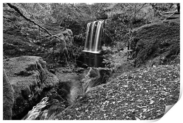Dalcairney waterfall, East Ayrshire Print by Allan Durward Photography