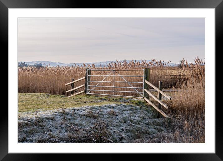 Pevensey Marshes frosted gate Framed Mounted Print by Sally Wallis