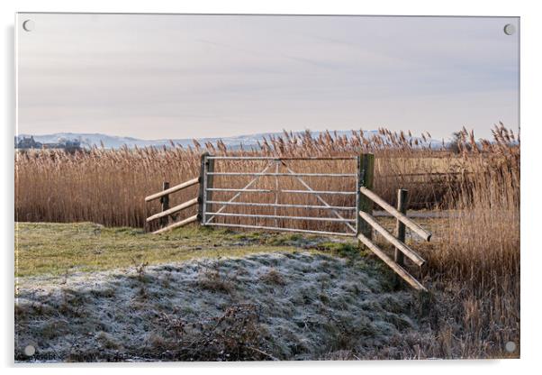Pevensey Marshes frosted gate Acrylic by Sally Wallis