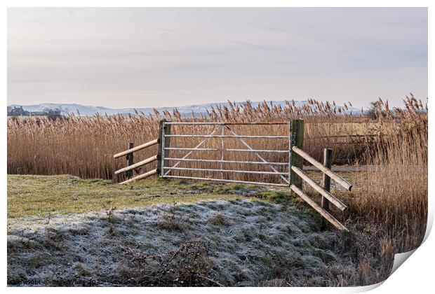 Pevensey Marshes frosted gate Print by Sally Wallis