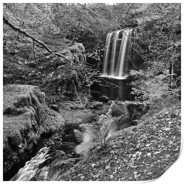 Dalcairney falls, East Ayrshire (black&white Print by Allan Durward Photography