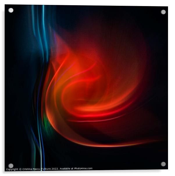Abstract tulip Acrylic by Cristina Pascu-Tulbure