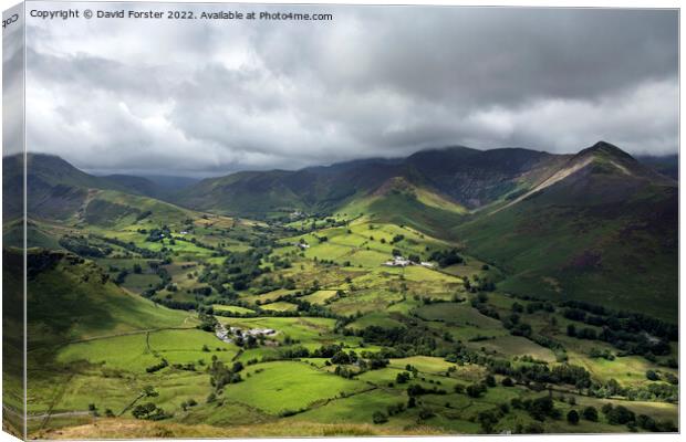 The view over the Newlands valley from Catbells, Lake District, UK Canvas Print by David Forster