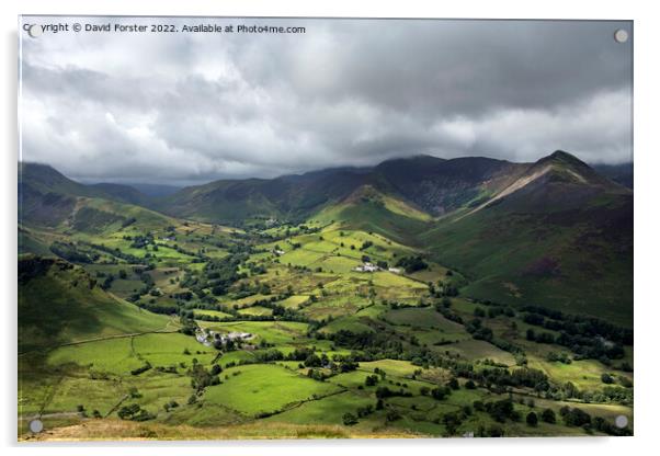 The view over the Newlands valley from Catbells, Lake District, UK Acrylic by David Forster