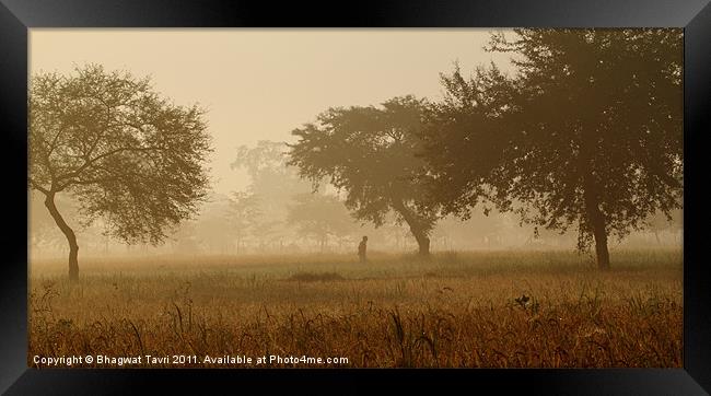A Misty Morning Framed Print by Bhagwat Tavri