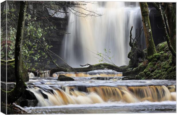 Summerhill Force, Bowlees, Upper Teesdale, County Durham, UK Canvas Print by David Forster