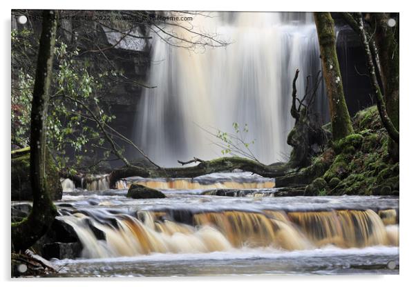 Summerhill Force, Bowlees, Upper Teesdale, County Durham, UK Acrylic by David Forster