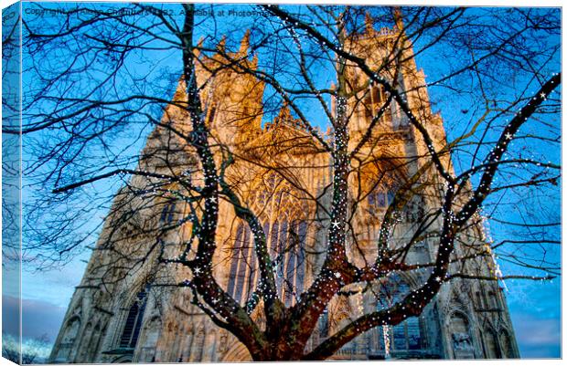 York Minster At Christmas  Canvas Print by Alison Chambers
