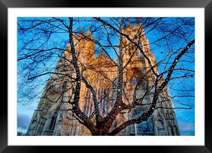 York Minster At Christmas  Framed Mounted Print by Alison Chambers