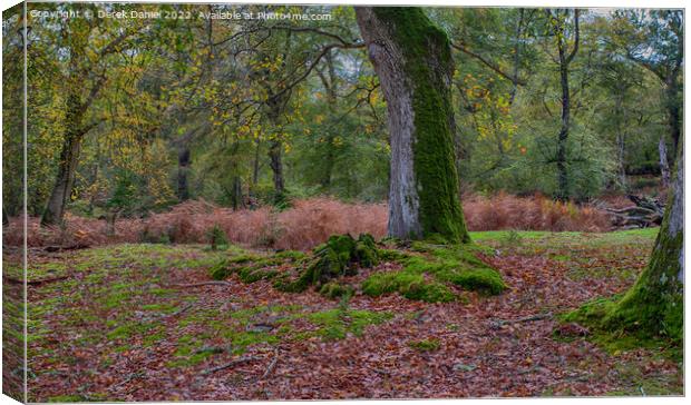 Enchanting Autumn Woodland Canvas Print by Derek Daniel