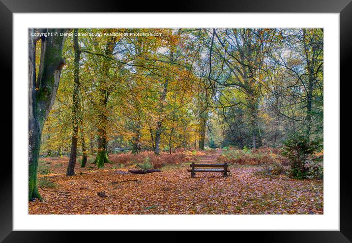 Serenity in Autumn Framed Mounted Print by Derek Daniel