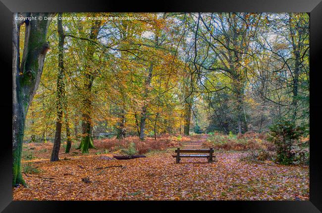 Serenity in Autumn Framed Print by Derek Daniel