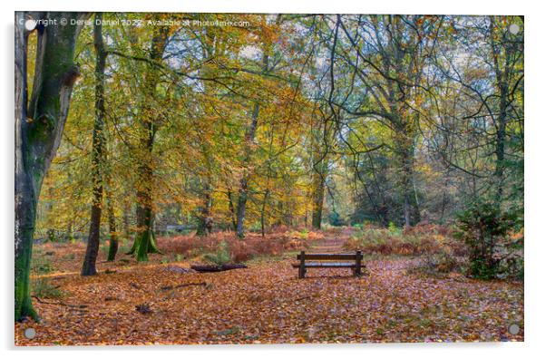 Serenity in Autumn Acrylic by Derek Daniel