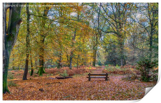 Serenity in Autumn Print by Derek Daniel