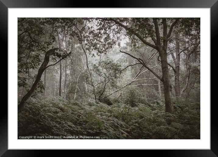 surrey woodland Framed Mounted Print by mark Smith