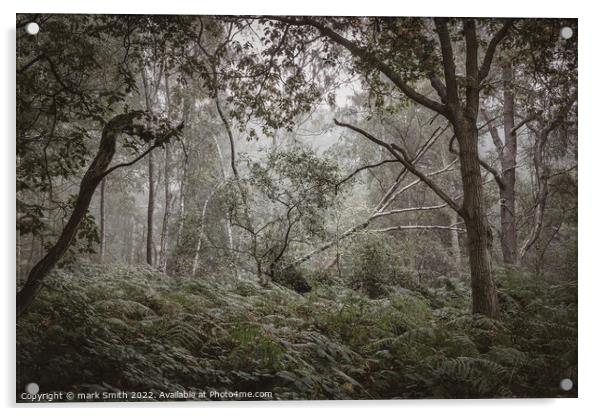 surrey woodland Acrylic by mark Smith