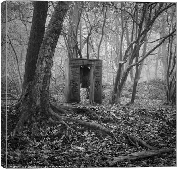 wardrobe in the woods Canvas Print by mark Smith