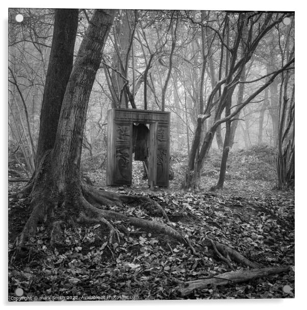wardrobe in the woods Acrylic by mark Smith