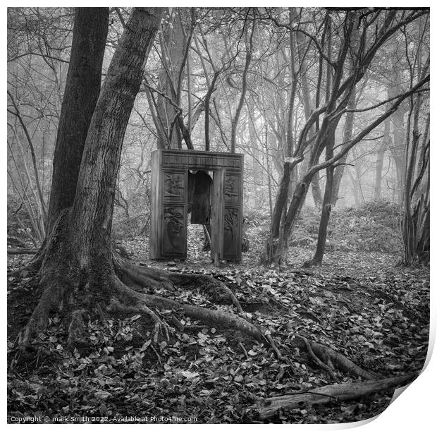wardrobe in the woods Print by mark Smith