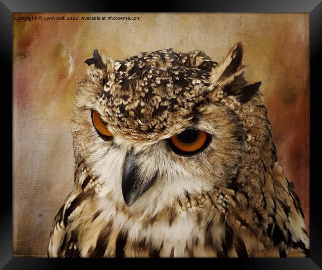 Eagle Owl Framed Print by Lynn Bolt