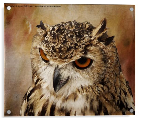 Eagle Owl Acrylic by Lynn Bolt
