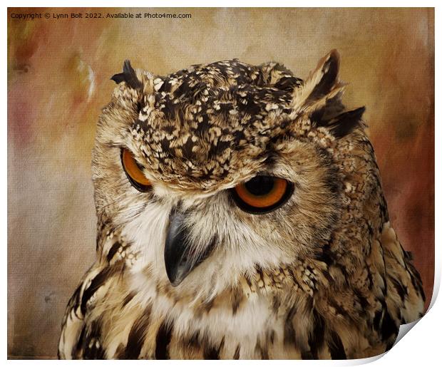 Eagle Owl Print by Lynn Bolt